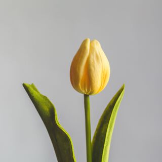 Tulipan Amarillo Flor Artificial by Le Bouquet 48 cm,hi-res