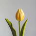 Tulipan%20Amarillo%20Flor%20Artificial%20by%20Le%20Bouquet%2048%20cm%2Chi-res