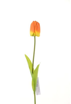 Tulipan 60Cm Rojo,hi-res