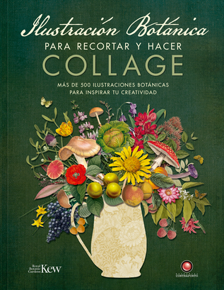 Libro Ilustración botánica para recortar y hacer collage,hi-res