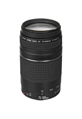 Lente Canon EF 75-300mm f/4 5.6 III,hi-res