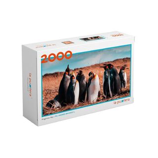 Puzzle 2000 Piezas Pingüino Rey,hi-res