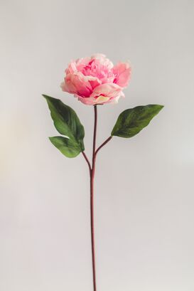 Peonia Rosada Flor Artificial by Le Bouquet 66 cm,hi-res