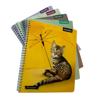 Pack 5 Cuadernos Adorable Matemática 7MM 100 hojas,hi-res