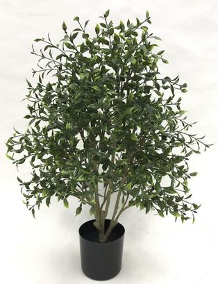 Planta Decorativa Arbusto Boj 76Cm,hi-res