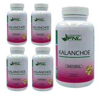Kalanchoe 5 frascos 60 cápsulas c/u multivitamínico antioxidantes,hi-res