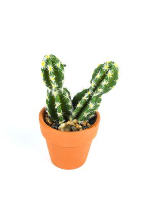 Cactus Artificial Doble 10*7cm,hi-res