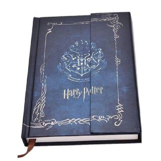 Cuaderno planner agenda Harry Potter vintage,hi-res