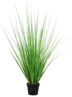 Grass Aloe Verde de 70 cm,hi-res
