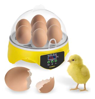 Incubadora 7 Huevos Control Temperatura Led Digtal,hi-res