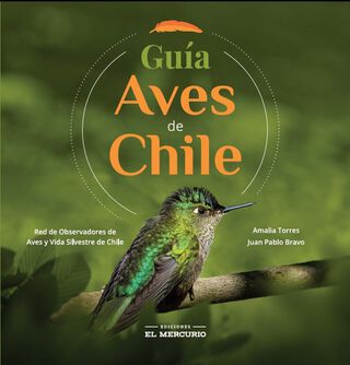 Libro Guía Aves De Chile,hi-res