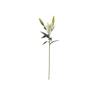 Lilium Blanco Flor Seda Artificial 76 Cm,hi-res