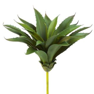 Aloe Vera Rama - artificial 29x24cm,hi-res
