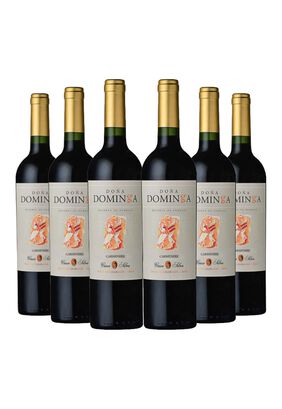 6 Vinos Doña Dominga Reserva De Familia Carmenere,hi-res