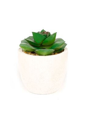 Cactus Artificial Echeveria Verde 9cm,hi-res