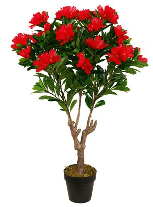 Arbol de Rododendro rojo de 120 cm,hi-res