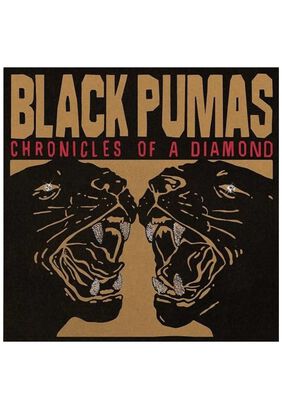BLACK PUMAS - CHRONICLES OF A DIAMOND (CLEAR VINYL) | VINILO,hi-res
