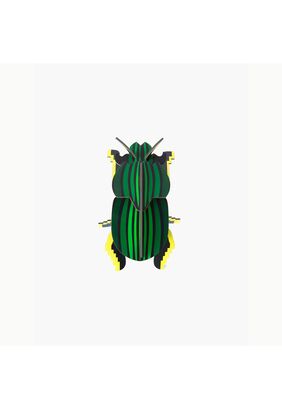 Pequeño Insecto - Scarab Beetle,hi-res