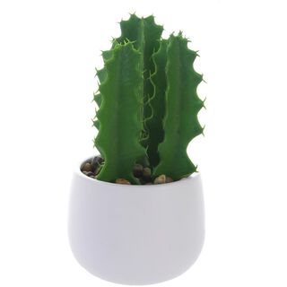 Planta Decor Cactus Suculento 25 Cms Maceta Blanca,hi-res