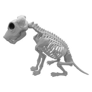 Esqueleto Perro 43x25x8 cm Halloween Big Party,hi-res