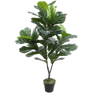 Planta Decorativa Ficus Lyrata 120 Cms.,hi-res