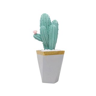 Macetero cuadrado cactus bajo flor rosada,hi-res