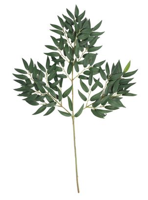 Ficus verde, rama decorativa de 65 cm,hi-res