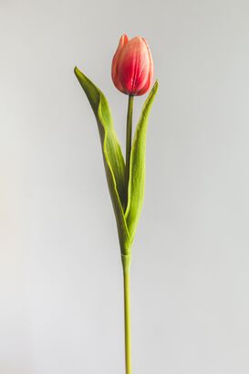 Tulipan Rojo Flor Artificial by Le Bouquet 48 cm,hi-res