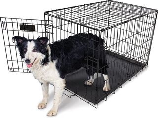 Canil para perros Aspen Pet talla M hasta 23 kg,hi-res