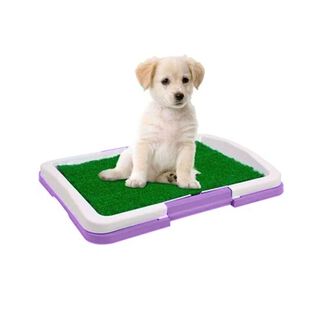 Baño sanitario para perros lila,hi-res