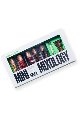 Mini Mixology Gin Grab&Go Kit - Go Barman,hi-res