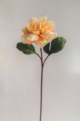 Peonia Damasco Flor Artificial by Le Bouquet 66 cm,hi-res