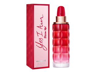 Yes I Am Bloom Up 75 Ml Edp Cacharel ,hi-res