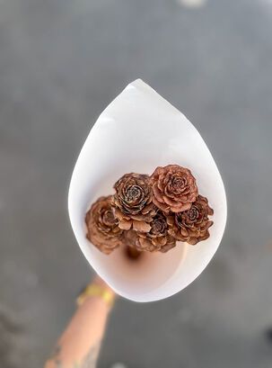 Flores Secas- Rosa de Cedro,hi-res