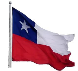 Bandera de Chile 100x150 Estrella Bordada,hi-res