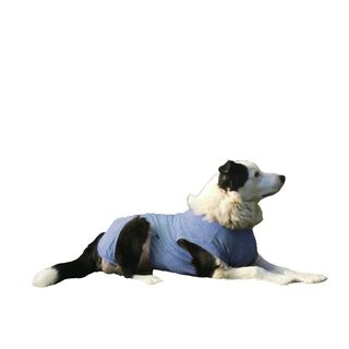 Body de cobre azul para perros talla 8, 9 y 10,hi-res