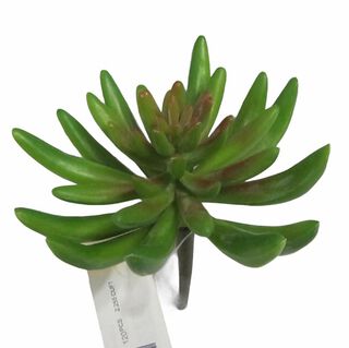 Cactus Decorativo Suculenta Verde 13Cm,hi-res