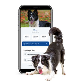 Plan Salud Digital Para Tu Perrito - Estandar Anual,hi-res