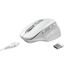 Mouse%20Inal%C3%A1mbrico%20Trust%20Ozaa%20Ergon%C3%B3mico%20Recargable%20Usb%2Chi-res