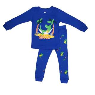 Pijama algodón niño dinosaurio PJ027,hi-res