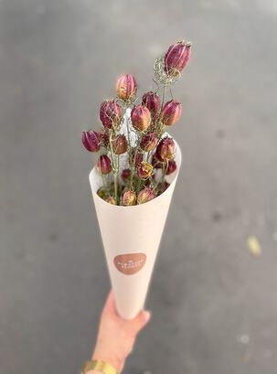 Flores Secas- Nigella Burdeo,hi-res