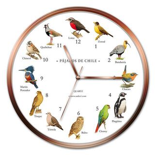 Reloj Pájaros,hi-res