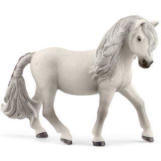 Yegua Pony Irlandesa,hi-res