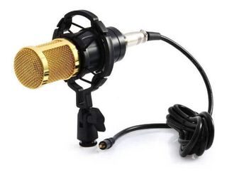 Microfono Condensador Andowl Aw-800 Podcast Tiktok Zoom,hi-res