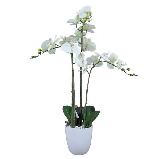 Planta Decorativa Orquidea Blanca En Macetero,hi-res