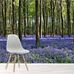 Bluebell%20Forest%20Wall%20Mural%20Wallpaper%20Ws-44685%2Chi-res