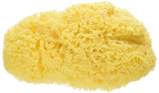 Bellini-Esponja Natural de Mar Honeycomb – 10 cm,hi-res