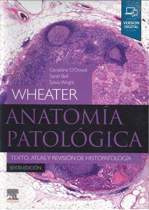 Anatomia Patologia Texto Atlas Y Revis Hist 6 Ed,hi-res