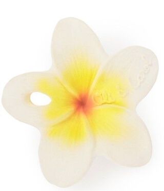 Mordedor Flor de Hawaii,hi-res
