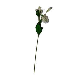 Flor lisianthus,hi-res